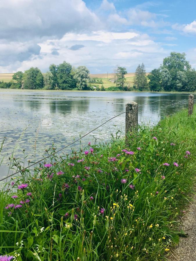 L'Echappee Ardennaise - Gite 6 Places Tout Confort Semuy Eksteriør billede