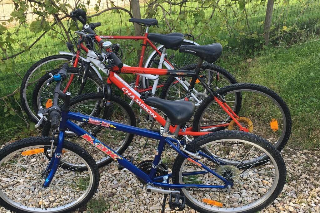 L'Echappee Ardennaise - Gite 6 Places Tout Confort Semuy Eksteriør billede